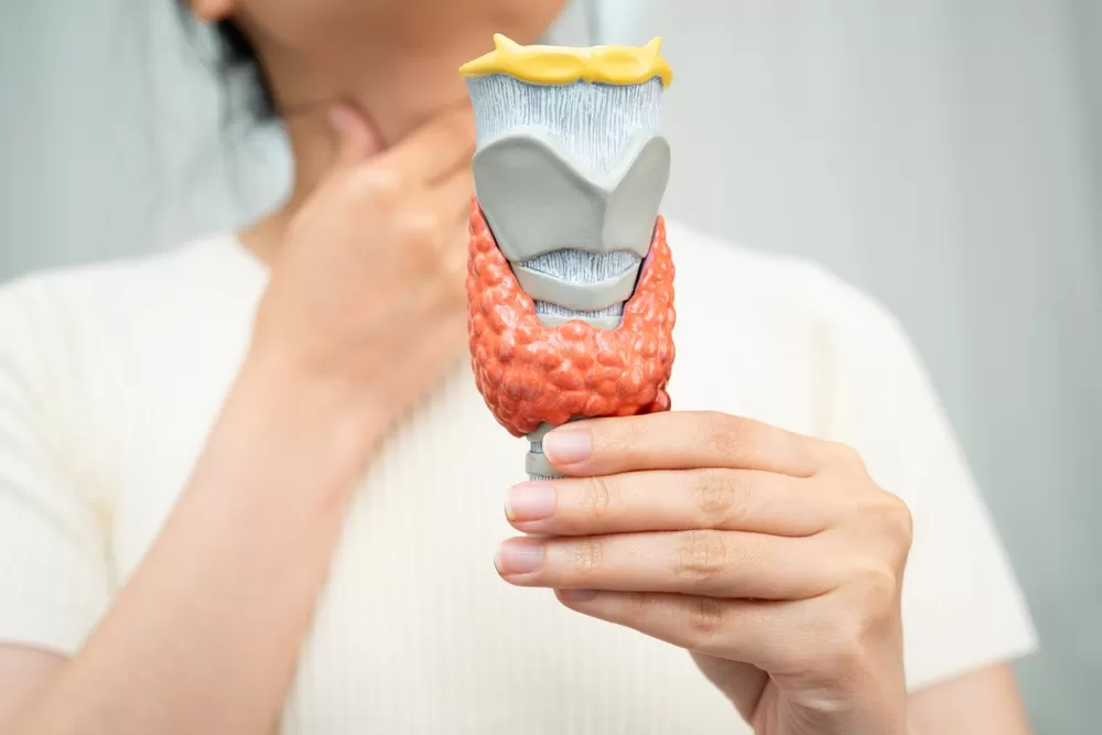 Zona del cuello asociada a molestia tiroidea