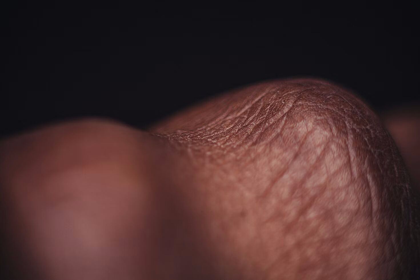 Textura de piel